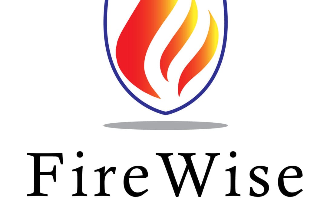 Firewise Consulting Ltd.